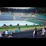 Wimbledon-3.jpg